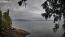 ./images/koeye/fitz-hugh/20260727/fitz-hugh20260727_065501M.jpg