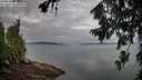 ./images/koeye/fitz-hugh/20260727/fitz-hugh20260727_070001M.jpg