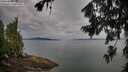 ./images/koeye/fitz-hugh/20260727/fitz-hugh20260727_080502M.jpg