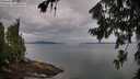 ./images/koeye/fitz-hugh/20260727/fitz-hugh20260727_082501M.jpg