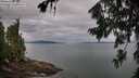 ./images/koeye/fitz-hugh/20260727/fitz-hugh20260727_083501M.jpg