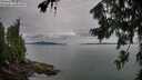 ./images/koeye/fitz-hugh/20260727/fitz-hugh20260727_092001M.jpg