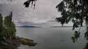 ./images/koeye/fitz-hugh/20260727/fitz-hugh20260727_092501M.jpg