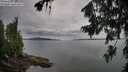 ./images/koeye/fitz-hugh/20260727/fitz-hugh20260727_093001M.jpg