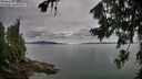./images/koeye/fitz-hugh/20260727/fitz-hugh20260727_093501M.jpg