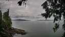 ./images/koeye/fitz-hugh/20260727/fitz-hugh20260727_094001M.jpg