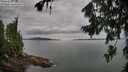 ./images/koeye/fitz-hugh/20260727/fitz-hugh20260727_094502M.jpg
