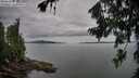 ./images/koeye/fitz-hugh/20260727/fitz-hugh20260727_095002M.jpg