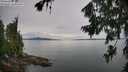 ./images/koeye/fitz-hugh/20260727/fitz-hugh20260727_100002M.jpg