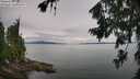 ./images/koeye/fitz-hugh/20260727/fitz-hugh20260727_100501M.jpg