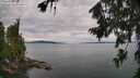 ./images/koeye/fitz-hugh/20260727/fitz-hugh20260727_113002M.jpg