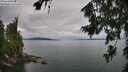 ./images/koeye/fitz-hugh/20260727/fitz-hugh20260727_115002M.jpg