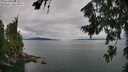 ./images/koeye/fitz-hugh/20260727/fitz-hugh20260727_120501M.jpg