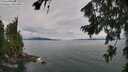 ./images/koeye/fitz-hugh/20260727/fitz-hugh20260727_121001M.jpg