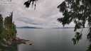 ./images/koeye/fitz-hugh/20260727/fitz-hugh20260727_123501M.jpg