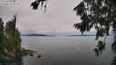 ./images/koeye/fitz-hugh/20260727/fitz-hugh20260727_141501M.jpg