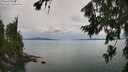 ./images/koeye/fitz-hugh/20260727/fitz-hugh20260727_143002M.jpg