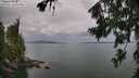 ./images/koeye/fitz-hugh/20260727/fitz-hugh20260727_144001M.jpg