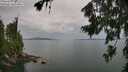 ./images/koeye/fitz-hugh/20260727/fitz-hugh20260727_144501M.jpg