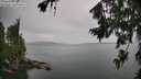 ./images/koeye/fitz-hugh/20260727/fitz-hugh20260727_151502M.jpg