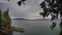 ./images/koeye/fitz-hugh/20260727/fitz-hugh20260727_183502M.jpg