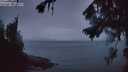 ./images/koeye/fitz-hugh/20260728/fitz-hugh20260728_052002M.jpg