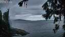 ./images/koeye/fitz-hugh/20260728/fitz-hugh20260728_053501M.jpg