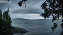 ./images/koeye/fitz-hugh/20260728/fitz-hugh20260728_054501M.jpg