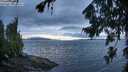 ./images/koeye/fitz-hugh/20260728/fitz-hugh20260728_061501M.jpg