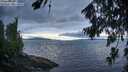 ./images/koeye/fitz-hugh/20260728/fitz-hugh20260728_062501M.jpg