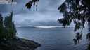 ./images/koeye/fitz-hugh/20260728/fitz-hugh20260728_070001M.jpg