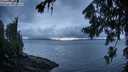 ./images/koeye/fitz-hugh/20260728/fitz-hugh20260728_070501M.jpg