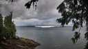 ./images/koeye/fitz-hugh/20260728/fitz-hugh20260728_073002M.jpg