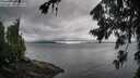./images/koeye/fitz-hugh/20260728/fitz-hugh20260728_075001M.jpg