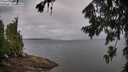 ./images/koeye/fitz-hugh/20260728/fitz-hugh20260728_085502M.jpg