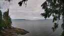 ./images/koeye/fitz-hugh/20260728/fitz-hugh20260728_091001M.jpg