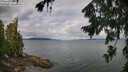 ./images/koeye/fitz-hugh/20260728/fitz-hugh20260728_094502M.jpg