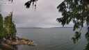 ./images/koeye/fitz-hugh/20260728/fitz-hugh20260728_105502M.jpg