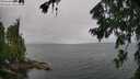 ./images/koeye/fitz-hugh/20260728/fitz-hugh20260728_114501M.jpg
