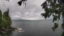 ./images/koeye/fitz-hugh/20260728/fitz-hugh20260728_133502M.jpg