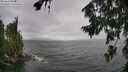 ./images/koeye/fitz-hugh/20260728/fitz-hugh20260728_140001M.jpg