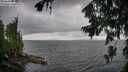 ./images/koeye/fitz-hugh/20260728/fitz-hugh20260728_163501M.jpg