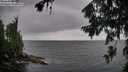 ./images/koeye/fitz-hugh/20260728/fitz-hugh20260728_164501M.jpg