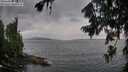 ./images/koeye/fitz-hugh/20260728/fitz-hugh20260728_204002M.jpg