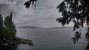 ./images/koeye/fitz-hugh/20260728/fitz-hugh20260728_213001M.jpg