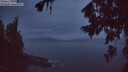 ./images/koeye/fitz-hugh/20260729/fitz-hugh20260729_050501M.jpg