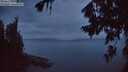 ./images/koeye/fitz-hugh/20260729/fitz-hugh20260729_051001M.jpg