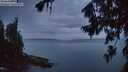 ./images/koeye/fitz-hugh/20260729/fitz-hugh20260729_052001M.jpg