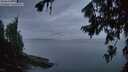 ./images/koeye/fitz-hugh/20260729/fitz-hugh20260729_052501M.jpg