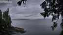 ./images/koeye/fitz-hugh/20260729/fitz-hugh20260729_053502M.jpg